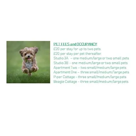 One, The Carriage House, 公寓 *